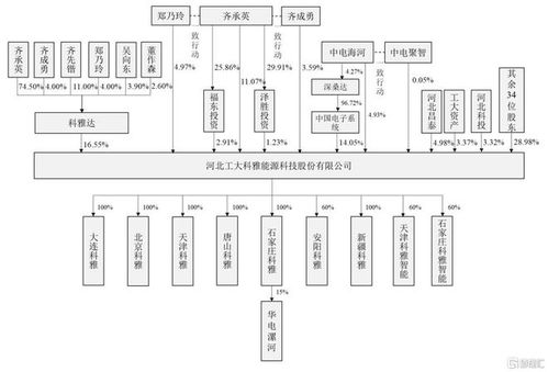 工大科雅登陆创业板，上市首日大涨超50% 引领信息系统集成服务新浪潮